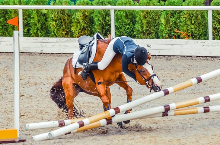 val van paard